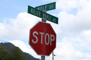 Saxman is a neighborhood of federally subsidized homes along streets with names like Killer Whale Avenue. (Michael Grabell/ProPublica)